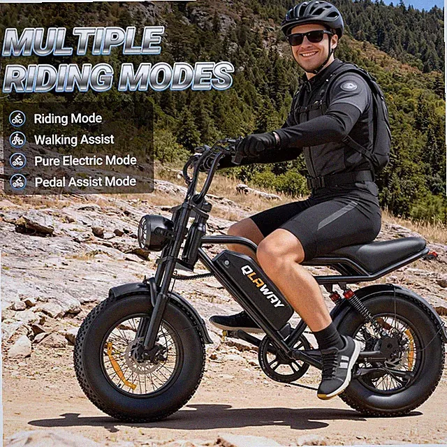 16" Fat Tire Electric Bike 500W 25MPH 48V 13.5Ah Long Range Dual Suspension