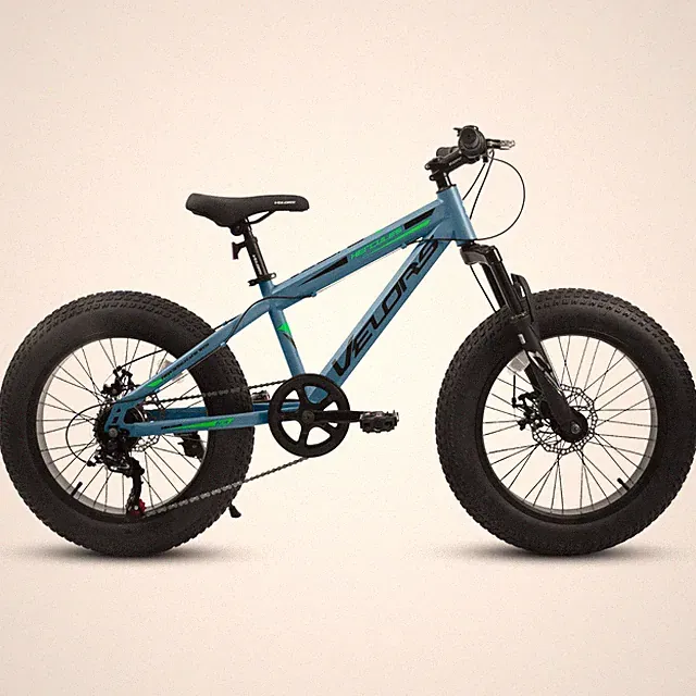 20 Inch Fat Tire Mountain Bike 7 Speeds Dual Disc Brakes Front Suspension Adult