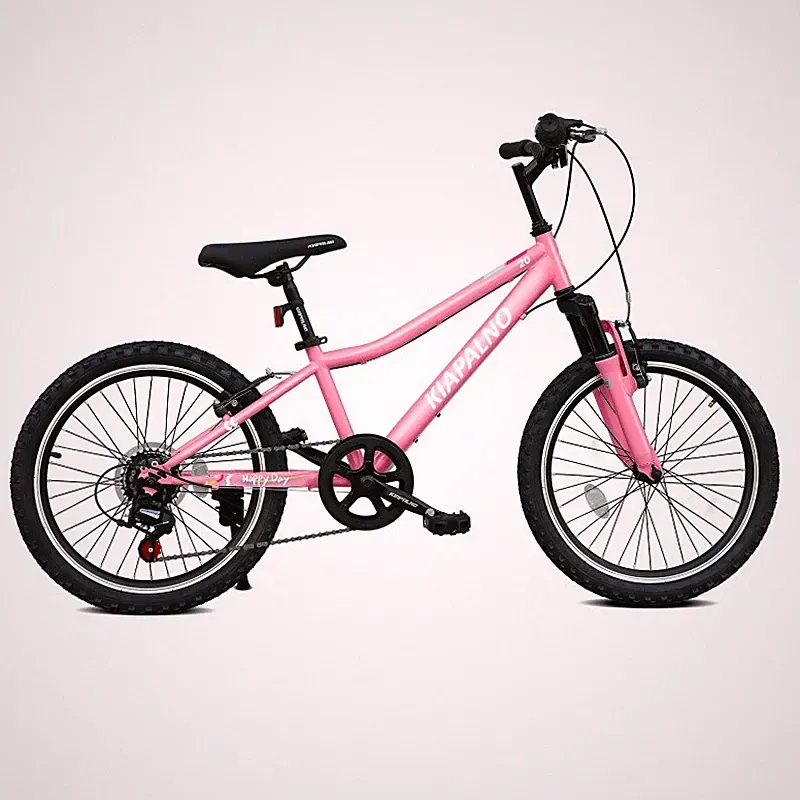 20" Mountain Bike,7-Speed Dual-Suspension Mountain Bicycle Steel Frame for Kids