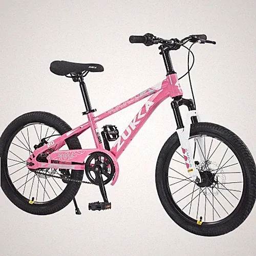 20in Kids Mountain Bike Ages 7-10 Double Disc Brake Pink Steel Frame Suspension