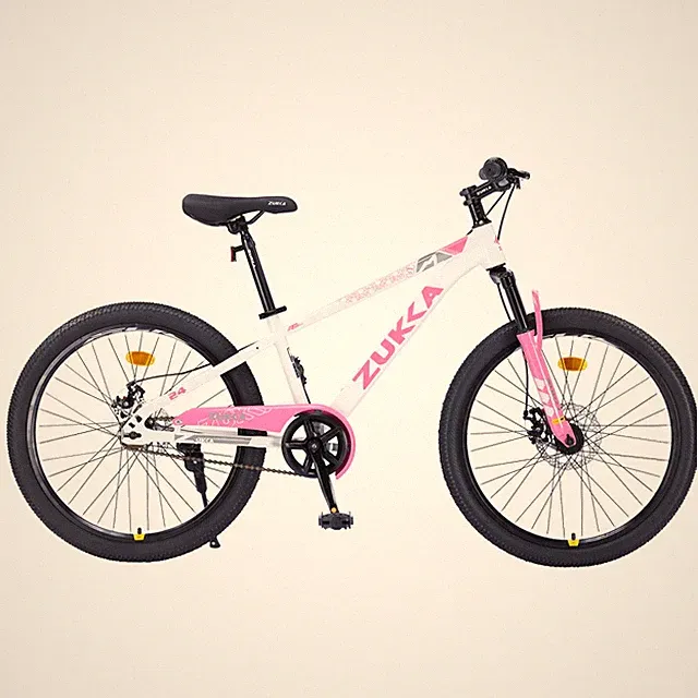 24 Inch Mountain Bike for Kids 9-12, Heavy Steel Frame Dual Disc and Suspension