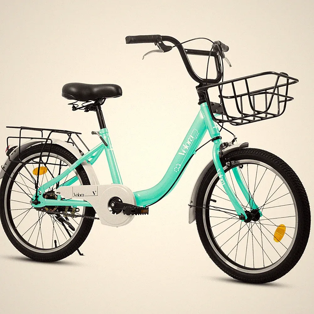 Kids Bike Children Bicycle 1-Speed Dual Brakes Lightweight Frame for Boys Girls
