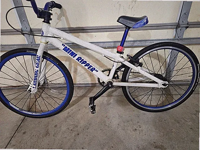 SE Bikes Mini Ripper-Race Ready